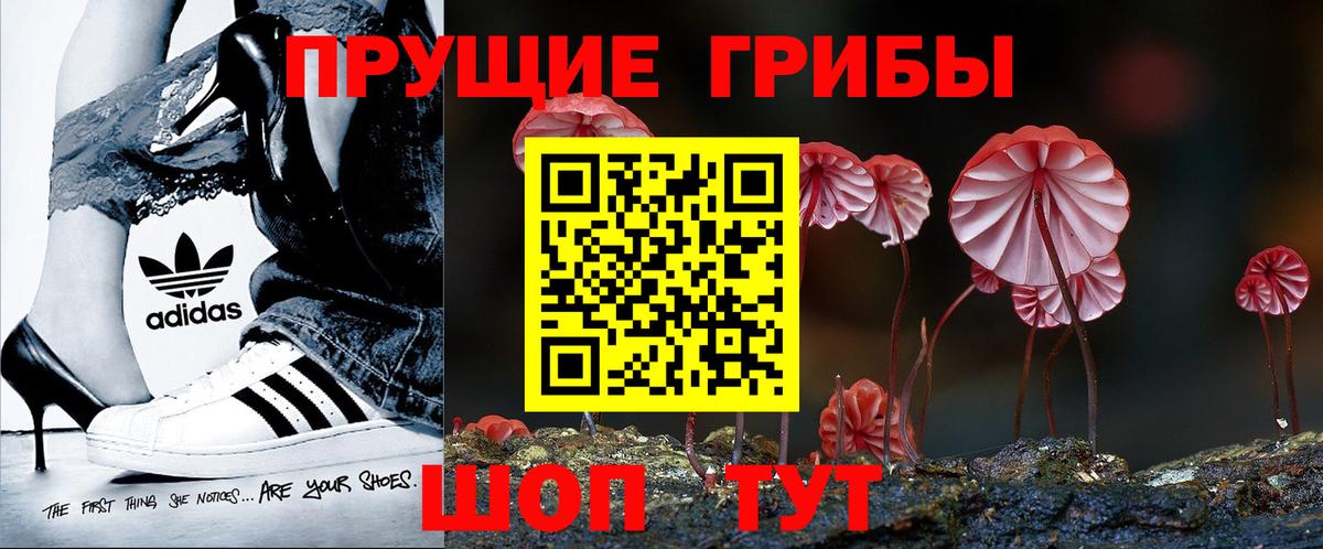 Псилоцибиновые грибы мухоморы  Вход с VPN  Псилоцибиновые грибы прущие грибы  Ейск 